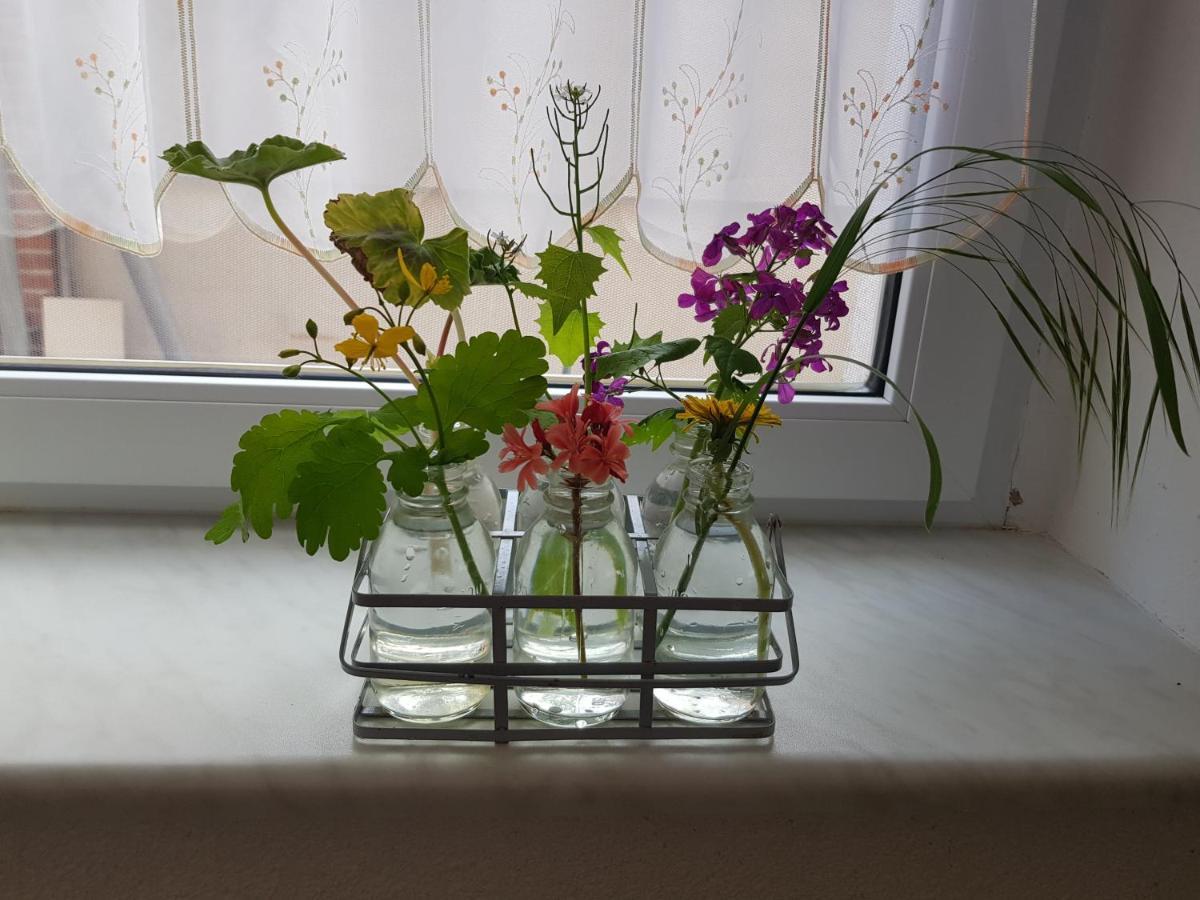 Ferienwohnung Burgenblick Thale Luaran gambar